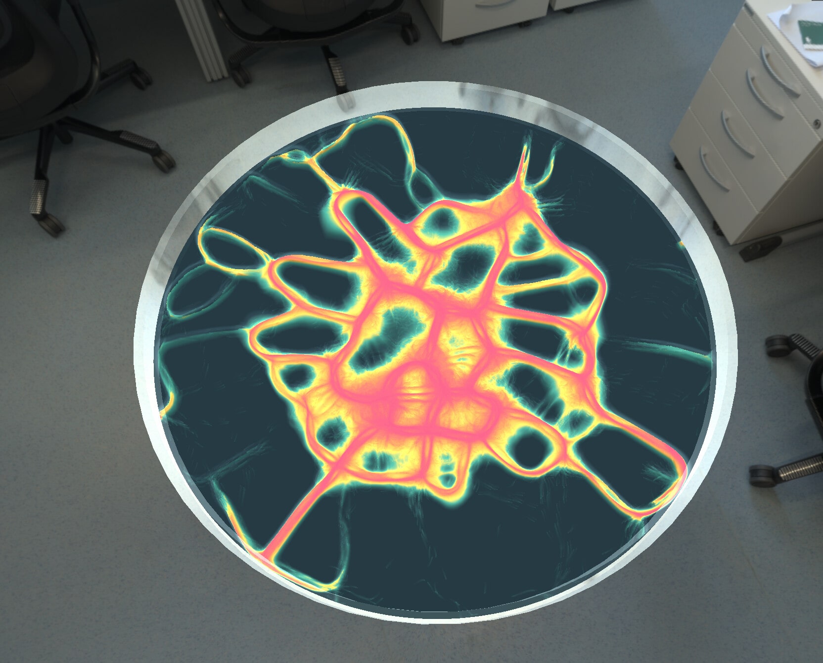 Preview image of Physarum simulation